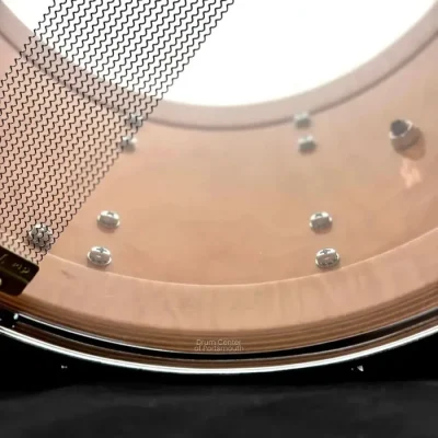 DW Maple Snare Drum 14x6 Rental Professional