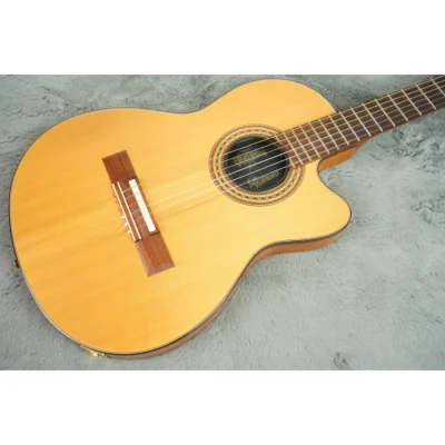 Gibson Chet Atkins CE Body Detail