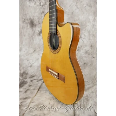 Gibson Chet Atkins CE Stage Guitar