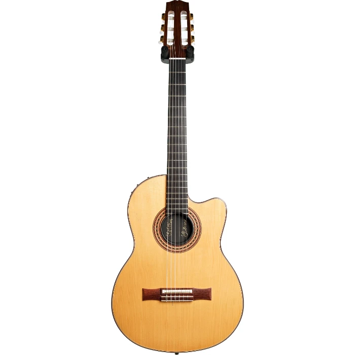 Gibson Chet Atkins CE professional stage nylon string guitar