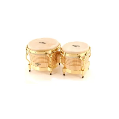 LP Matador AW Bongos 2
