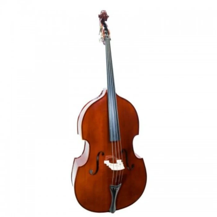Stentor Conservatoire Double Bass Rear View