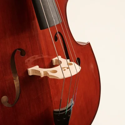 Stentor Conservatoire upright double bass